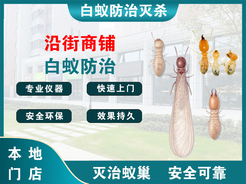 海宁沿街商铺白蚁防治