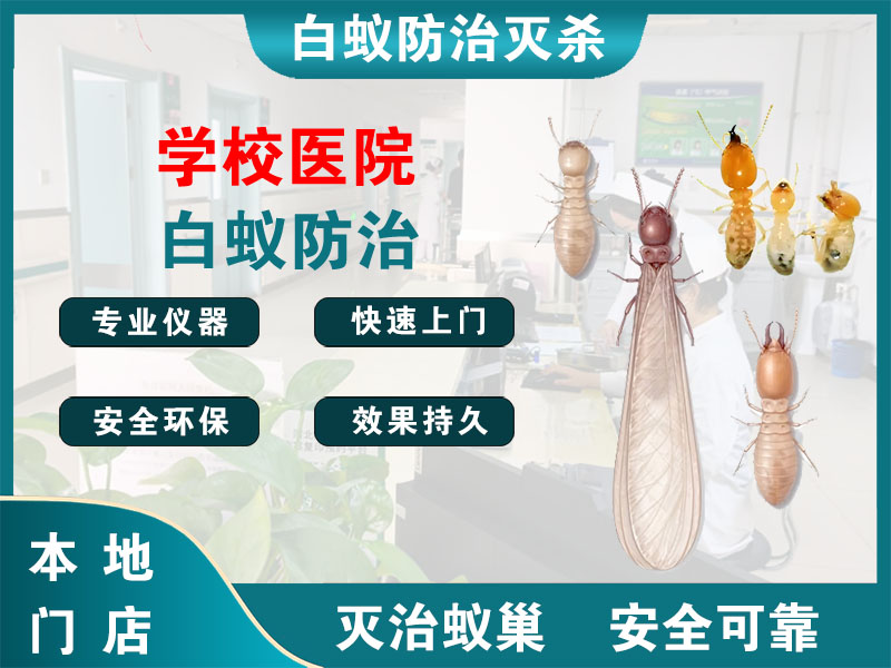 海宁学校医院白蚁防治
