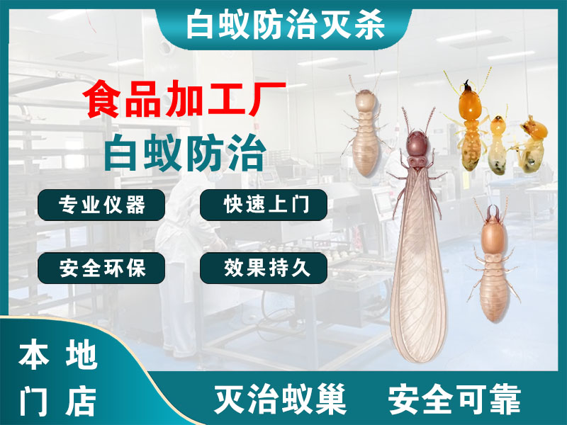 海宁食品加工厂白蚁防治