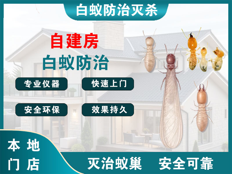 海宁自建房白蚁防治