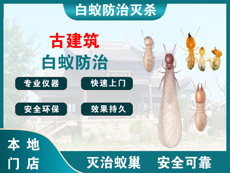 海宁古建筑白蚁防治