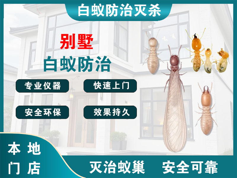 海宁别墅白蚁防治
