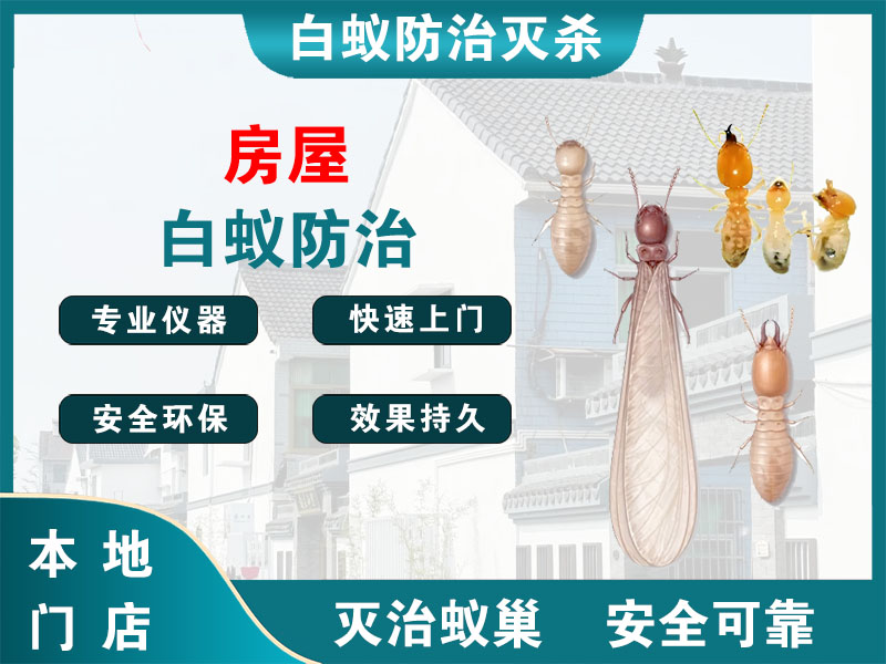海宁房屋白蚁防治